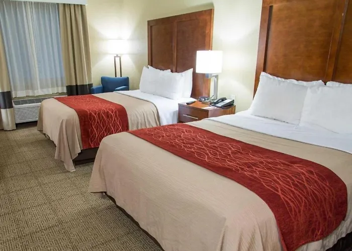 Comfort Inn Dfw Airport North