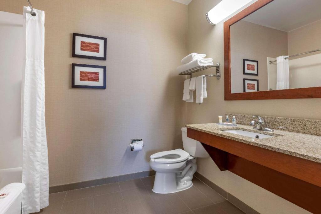 Comfort Dfw Airport North Hotel Grapevine