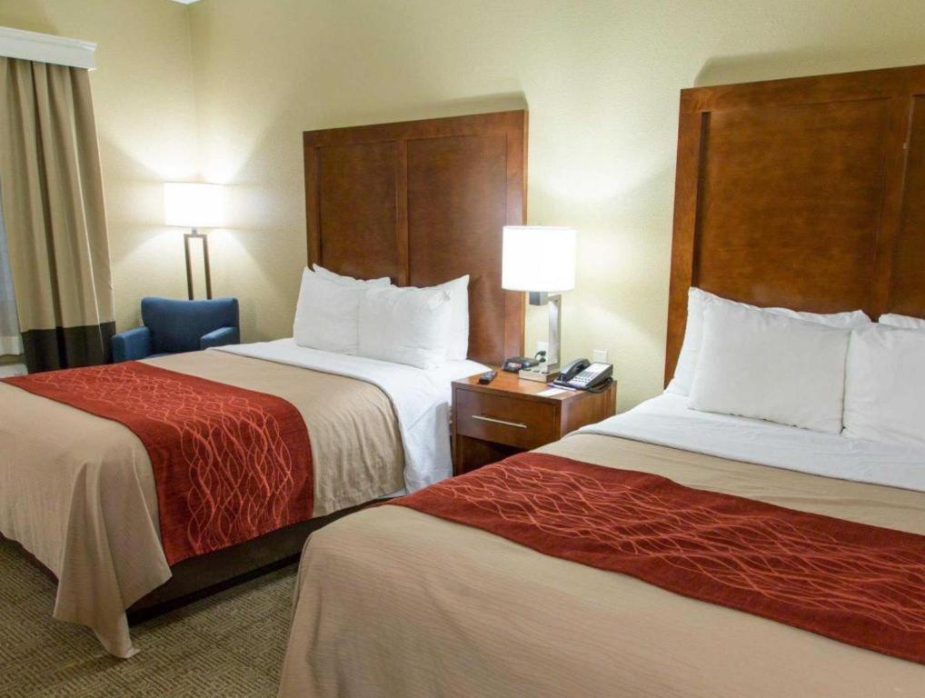 Comfort Dfw Airport North Hotel Grapevine