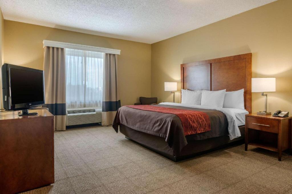 Comfort Dfw Airport North Hotel Grapevine