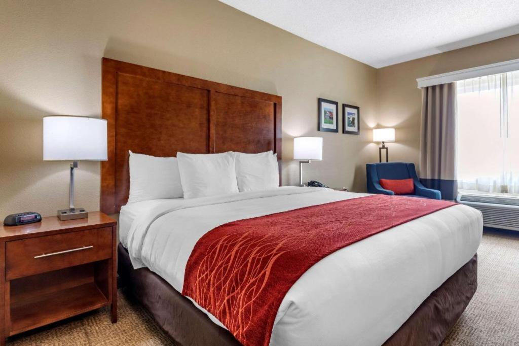 Comfort Dfw Airport North Hotel