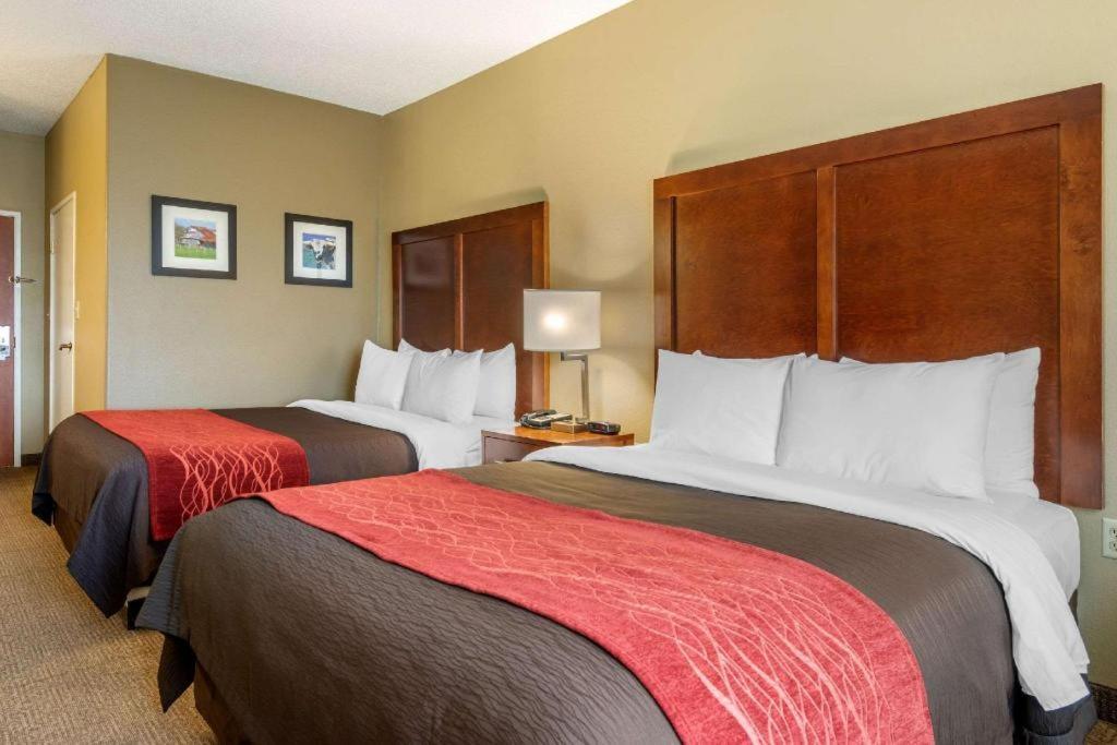 Hotel Comfort Dfw Airport North Grapevine