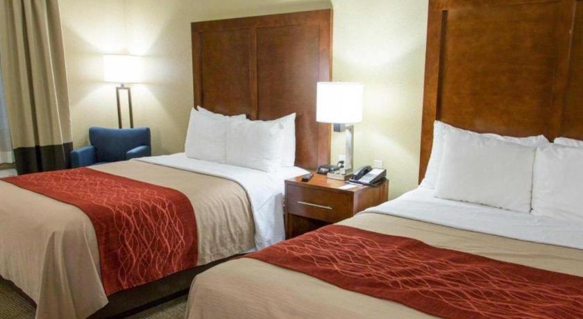 Hotel Comfort Dfw Airport North