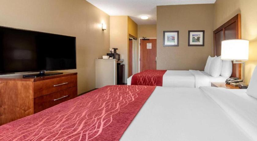 Comfort Dfw Airport North Hotel