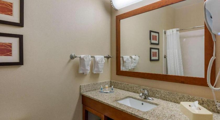 Hotel Comfort Dfw Airport North